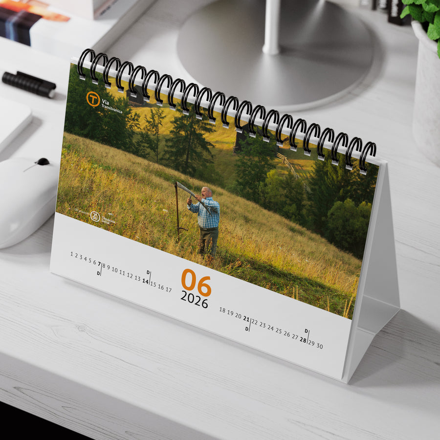 Calendar de birou VT2026